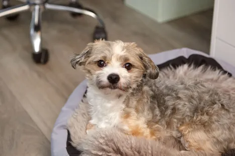 MFA | Praxismanagerin in der Praxis Dr. Hauck und Dr. Schwartz